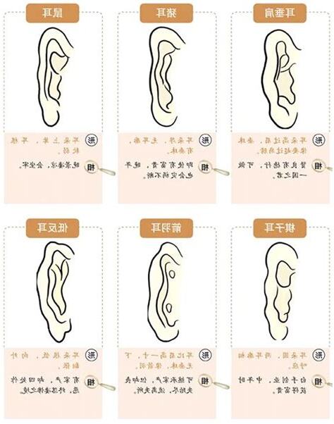 耳珠朝口 面相